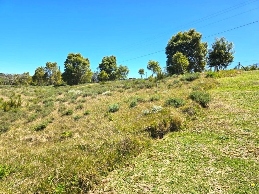 Commercial Property for Sale in Hoekwil Western Cape